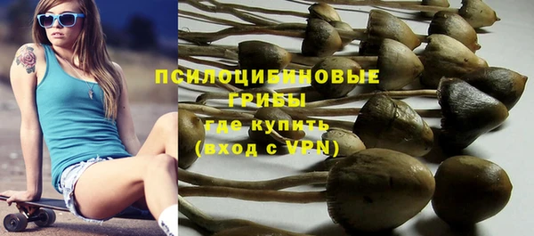 мескалин Михайлов