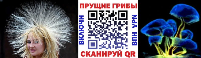 Псилоцибиновые грибы мицелий  хочу наркоту  Ува 